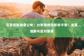 北京侦探调查公司：分手挽回说暂时不想：深度理解与应对策略
