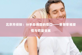 北京市侦探：分手后挽回的借口——重新审视爱情与修复关系
