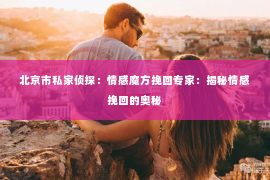 北京市私家侦探：情感魔方挽回专家：揭秘情感挽回的奥秘